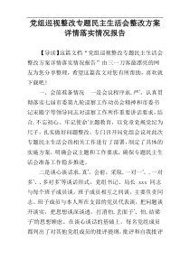 党组巡视整改专题民主生活会整改方案详情落实情况报告