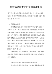 科技活动经费支出专项审计报告