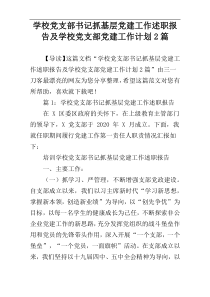 学校党支部书记抓基层党建工作述职报告及学校党支部党建工作计划2篇