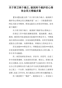 关于捍卫两个确立，做到两个维护的心得体会范文精编多篇