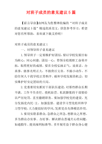 对班子成员的意见建议5篇