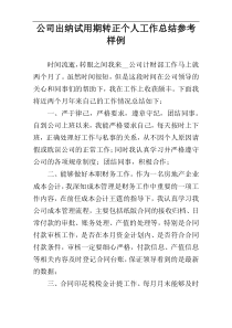 公司出纳试用期转正个人工作总结参考样例