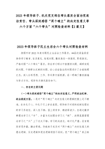 2023年领导班子、机关党支部在带头落实全面治党政治责任、带头深刻感悟“两个确立”的决定性意义等