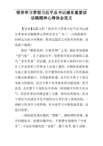 领导学习贯彻习近平总书记浦东重要讲话稿精神心得体会范文