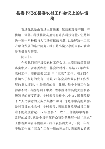 县委书记在县委农村工作会议上的讲话稿