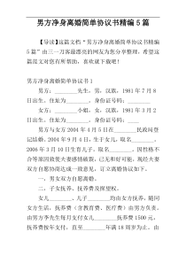 男方净身离婚简单协议书精编5篇