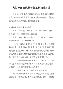 离婚补充协议书样例汇集精选4篇