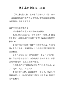 救护车自查报告共3篇