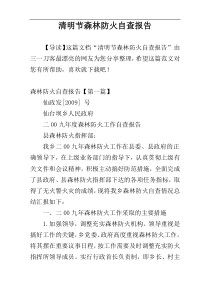 清明节森林防火自查报告