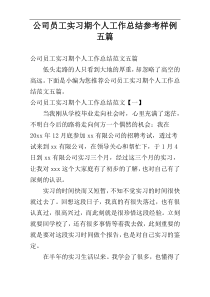 公司员工实习期个人工作总结参考样例五篇