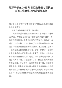 领导干部在2023年省委政法委专项执法巡视工作会议上的讲话稿范例