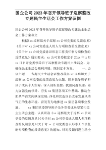 国企公司2023年召开领导班子巡察整改专题民主生活会工作方案范例