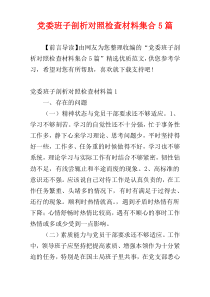 党委班子剖析对照检查材料集合5篇