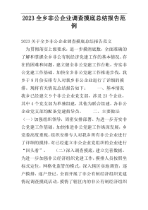 2023全乡非公企业调查摸底总结报告范例