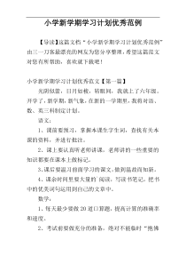 小学新学期学习计划优秀范例