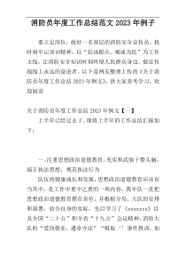 消防员年度工作总结范文2023年例子