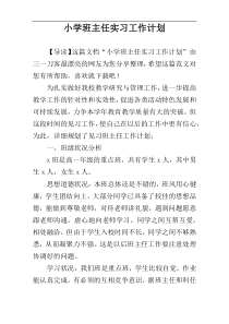 小学班主任实习工作计划