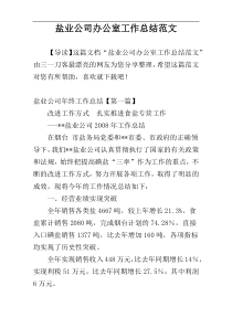 盐业公司办公室工作总结范文