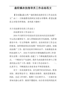 盘陀镇农技指导员工作总结范文