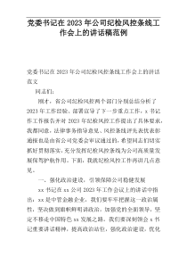 党委书记在2023年公司纪检风控条线工作会上的讲话稿范例