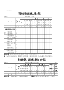 事业单位特殊专业技术人才基本情况表
