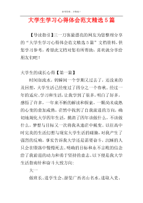 大学生学习心得体会范文精选5篇