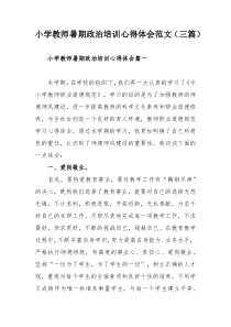 小学教师暑期政治培训心得体会范文（三篇）