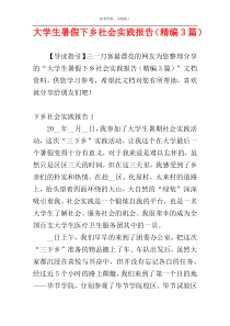 大学生暑假下乡社会实践报告（精编3篇）