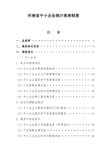 XXXX年河南省中小企业部门统计报表制度(定稿)2