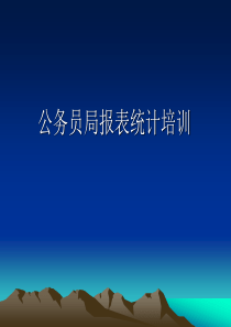 XXXX最新公务员局统计报表填报讲解