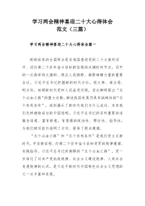 学习两会精神喜迎二十大心得体会范文（三篇）