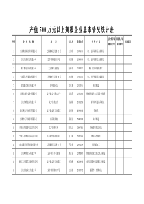 产值500万元以上规模企业基本情况统计表