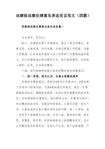 巡察组巡察反馈意见表态发言范文（四篇）