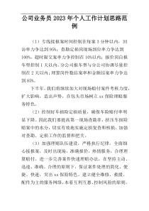 公司业务员2023年个人工作计划思路范例