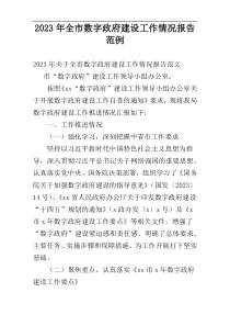 2023年全市数字政府建设工作情况报告范例