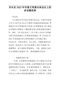 市长在2023年市委文明委全体会议上的讲话稿范例