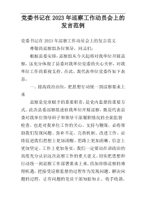 党委书记在2023年巡察工作动员会上的发言范例