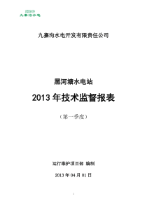 水电站XXXX年技术监督报表