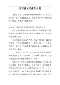 三月份总结报告3篇