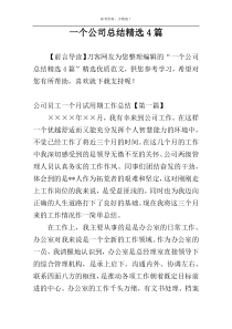 一个公司总结精选4篇