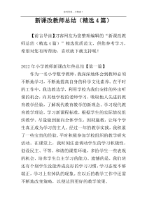 新课改教师总结（精选4篇）