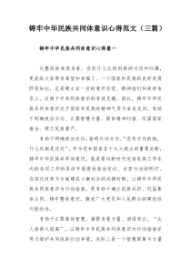 铸牢中华民族共同体意识心得范文（三篇）