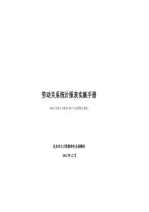 劳动和社会保障统计报表实施手册(XXXX)