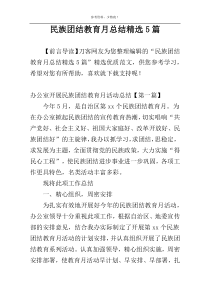 民族团结教育月总结精选5篇