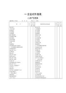 企业对外报表(1)