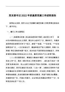 党支部书记2022年抓基层党建工作述职报告