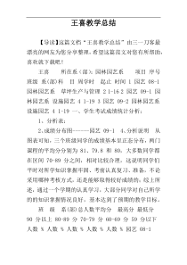 王喜教学总结