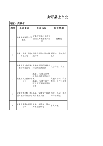 崇文上市公司统计表-副本(11)