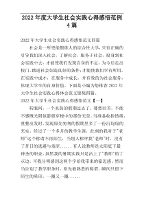 2022年度大学生社会实践心得感悟范例4篇