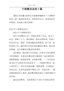 干部整训总结3篇